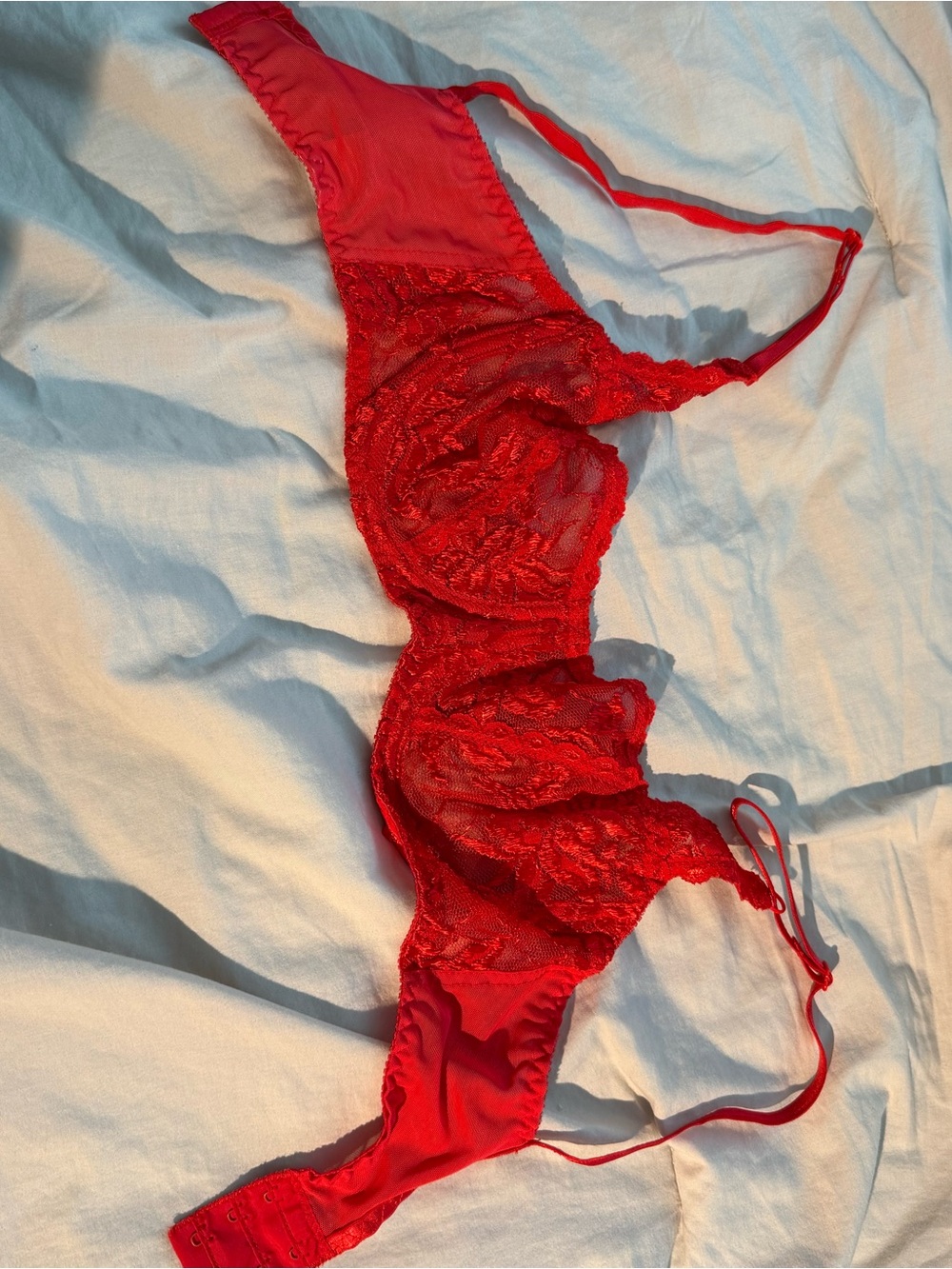 Red Lace Underwire Bra with Sheer Floral Cups